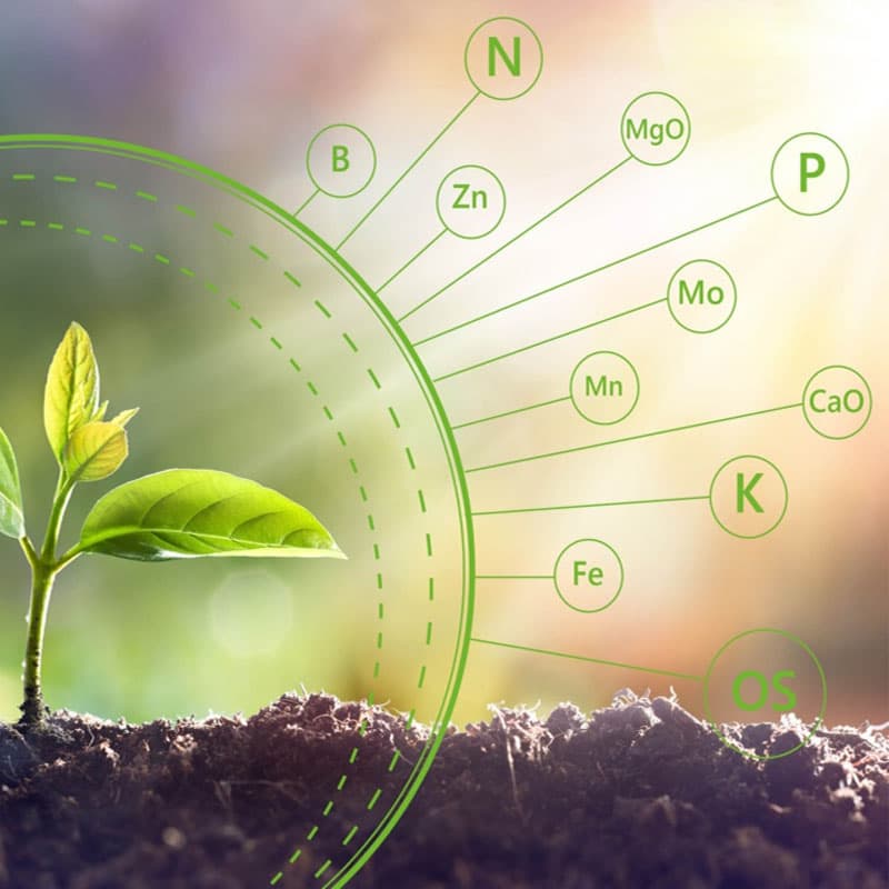 Fertilizers