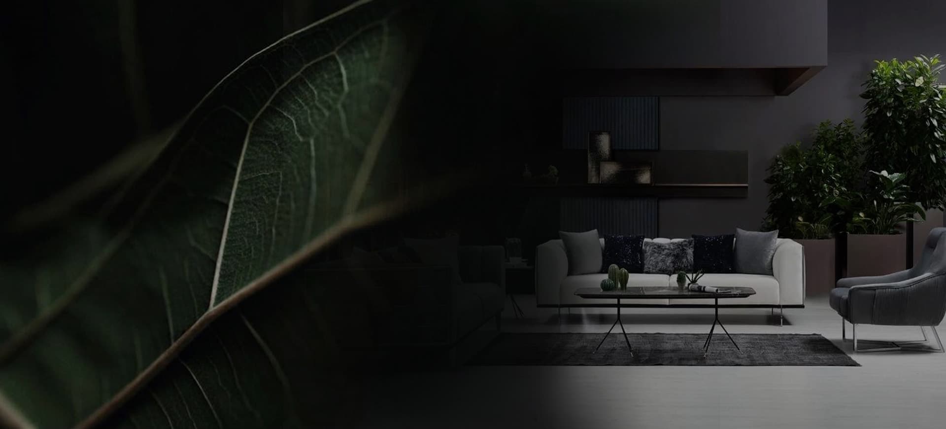 Home Furniture