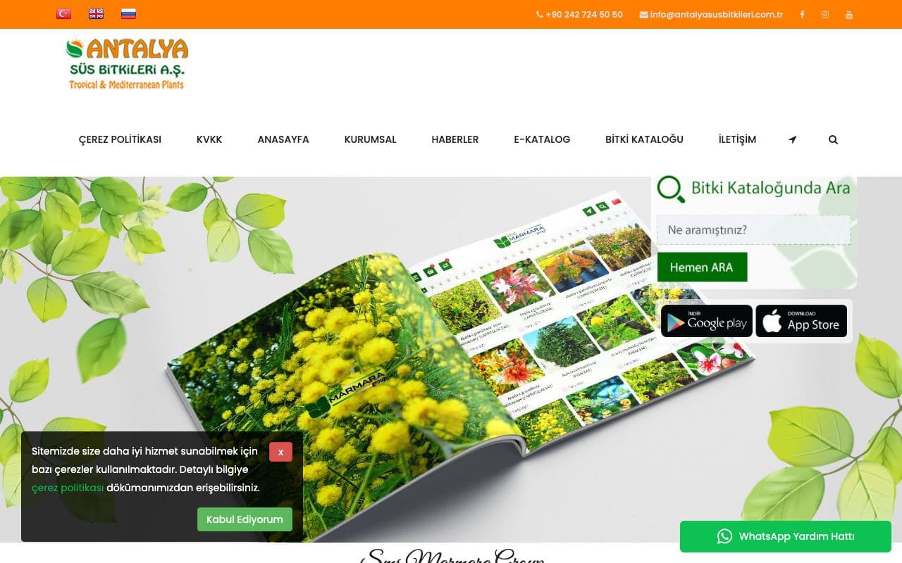 Seedlings & Plants