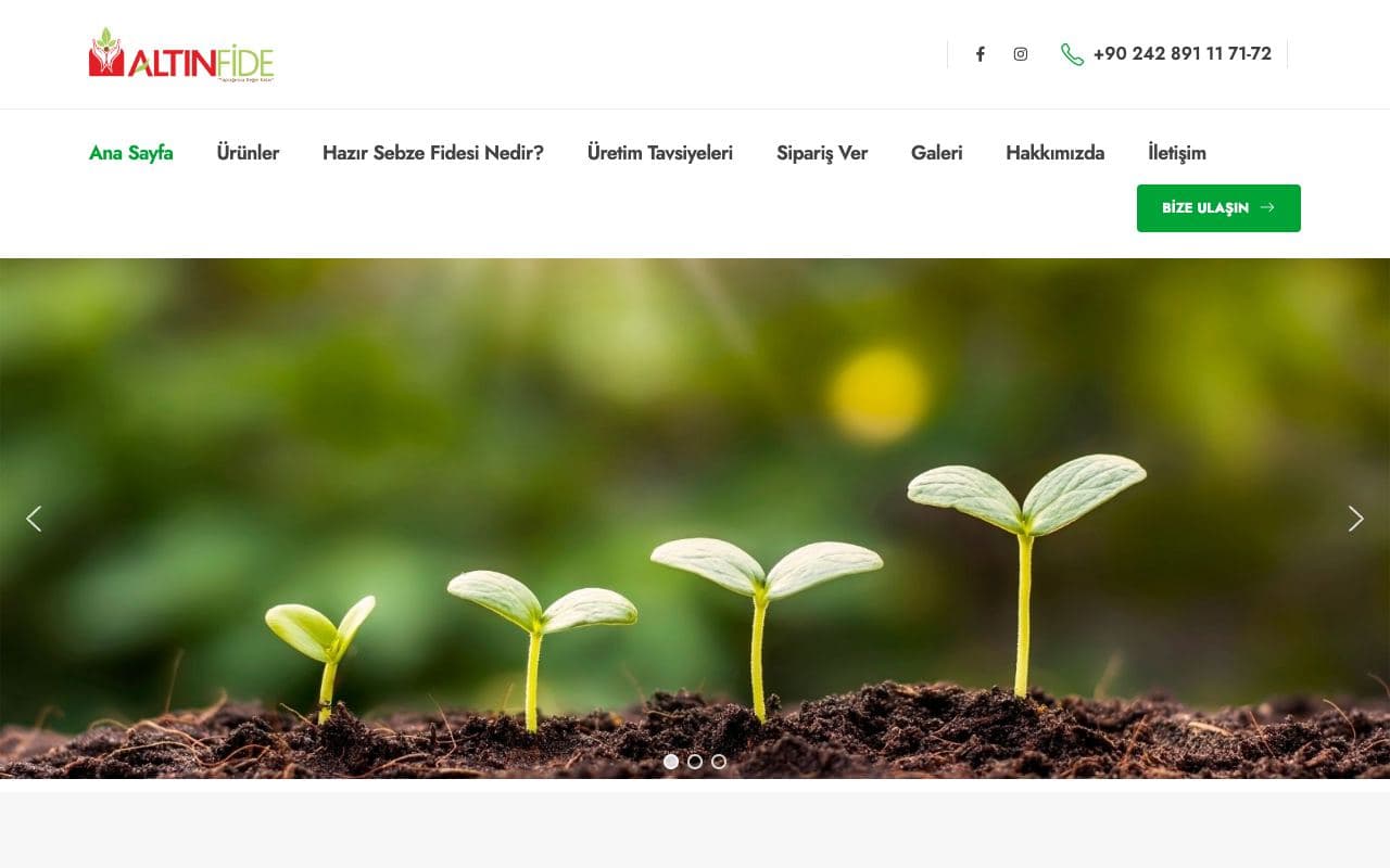 Seedlings & Plants
