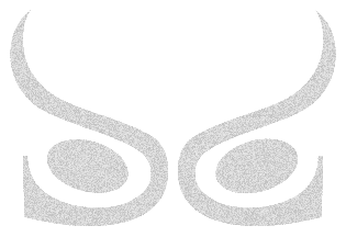 Optics & Eyewear